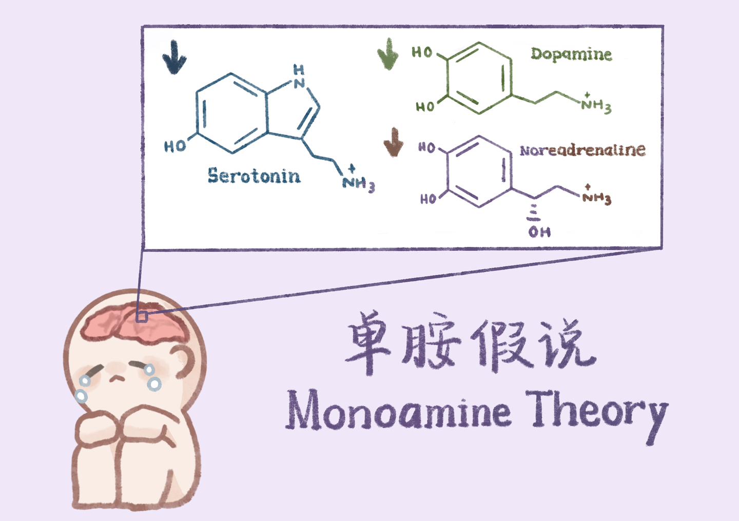 Blog#2【神经药理】抗抑郁药物01｜单胺理论与三类单胺再摄取抑制剂- 知乎