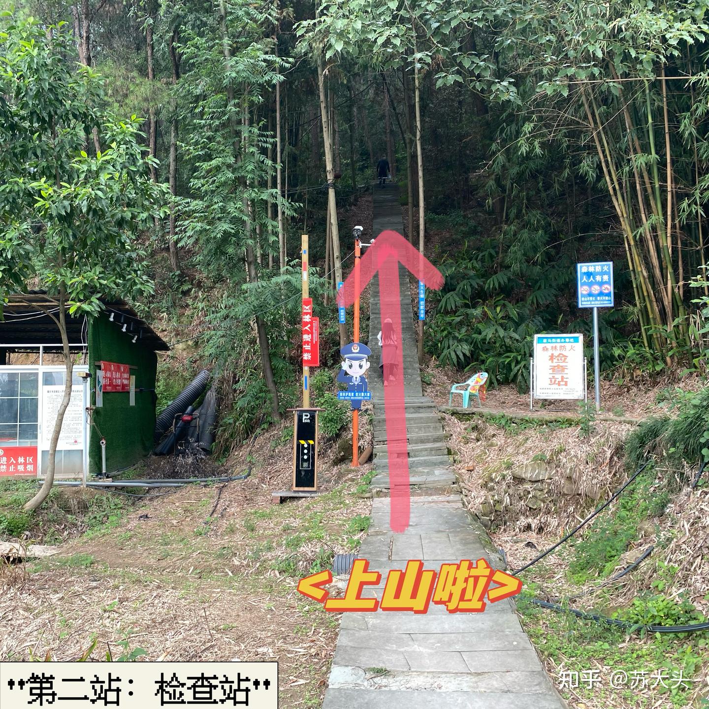 重庆徒步爬山圣地：缙云山免门票上山详细路线指引 - 知乎
