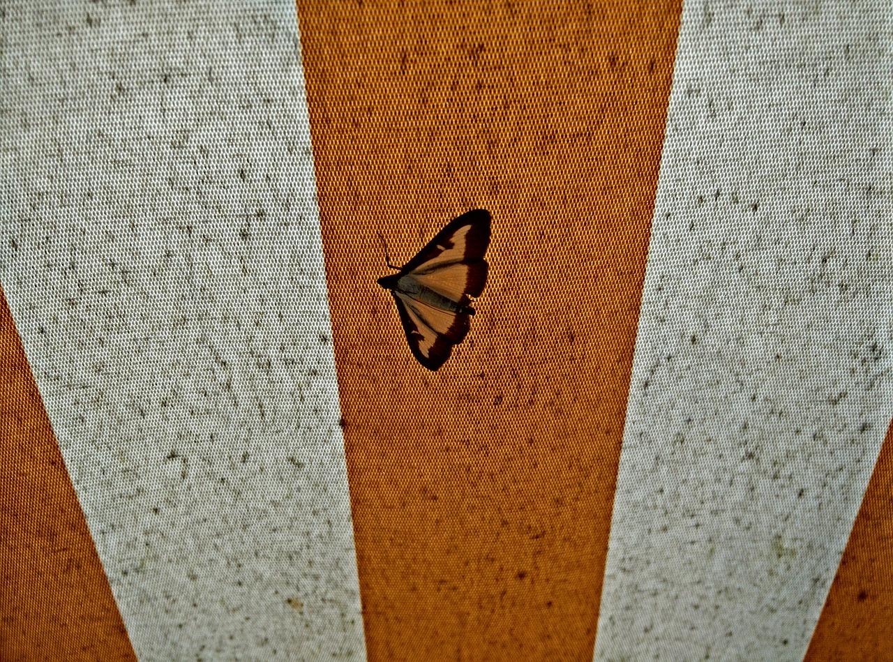 如何遮住窗帘轨道