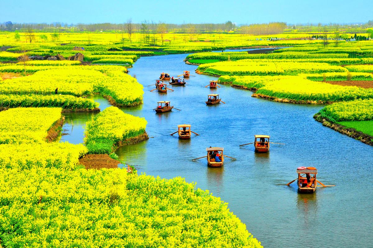 盘点国内15大最美油菜花海观赏地 - 知乎