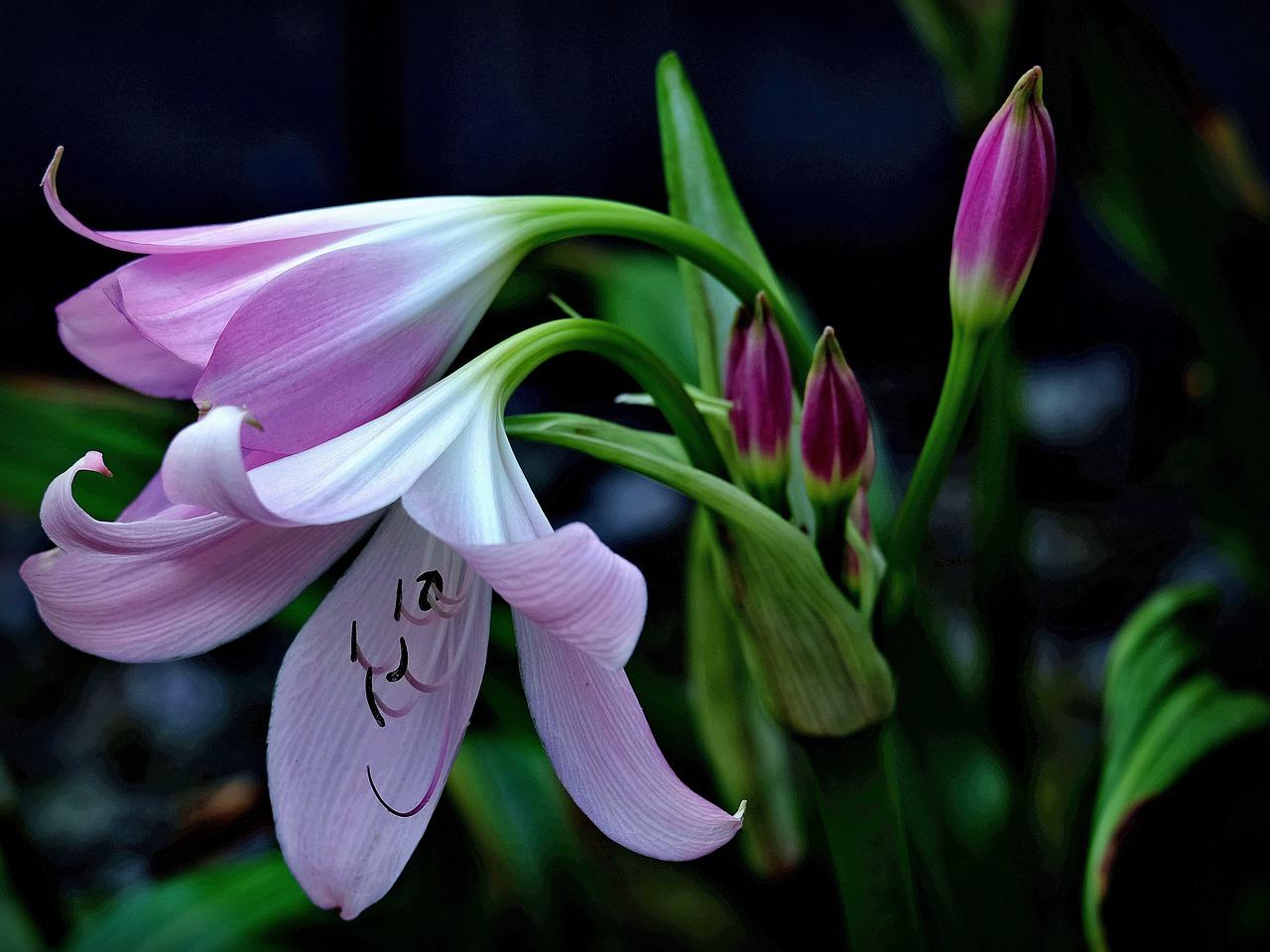 4. 雅戈尔搬家动态