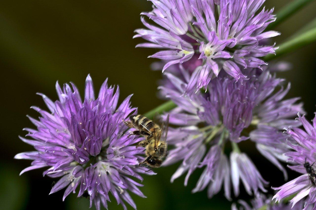 4. 播种时间选择