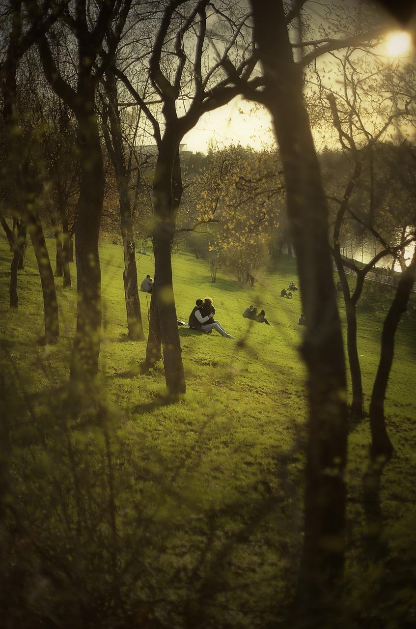 2. 绿化修复技巧