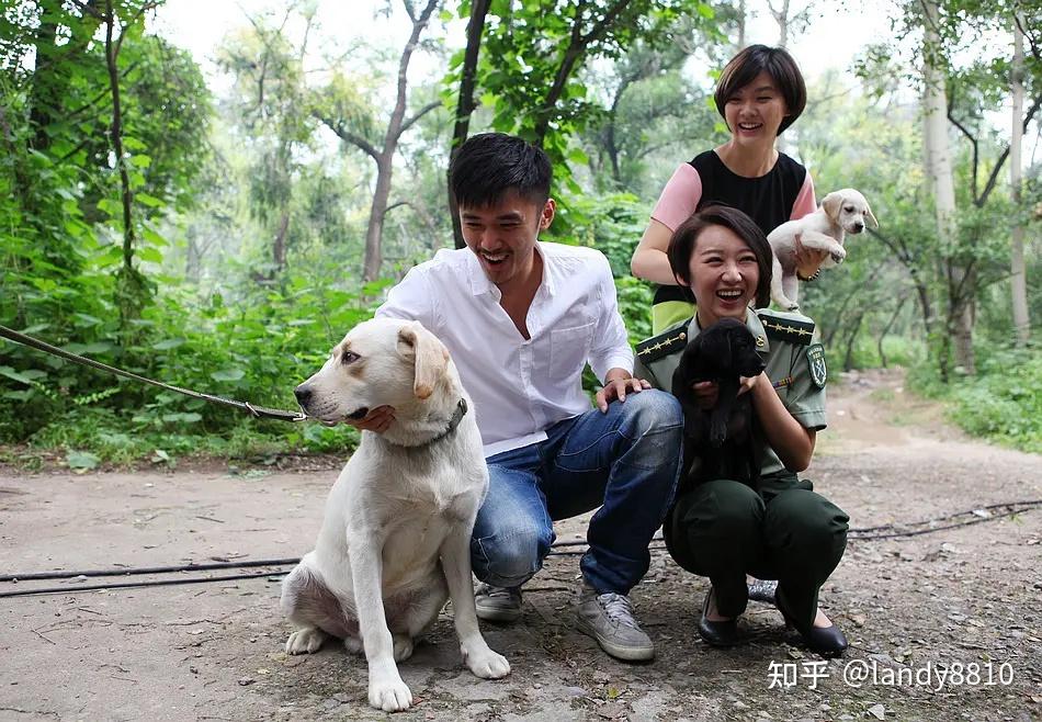 奇兵神犬第一期全集图片