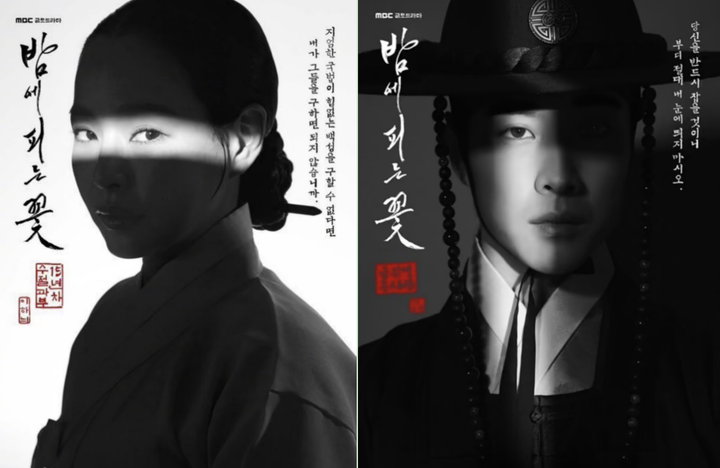 《夜晚开的花》韩国古装剧本土评分8.5 一位有独立思想的寡妇! - 知乎