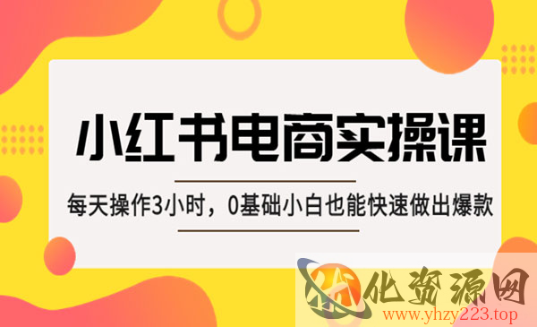 《小红书电商实操课》每天操作3小时，0基础小白也能快速做出爆款_wwz