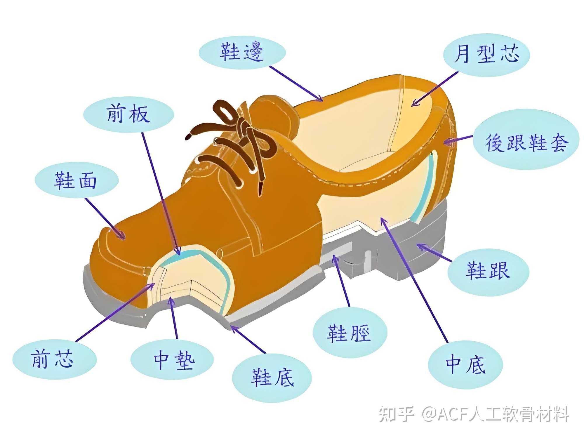 鞋类知识科普:鞋中底是什么?是不是鞋垫? - 知乎