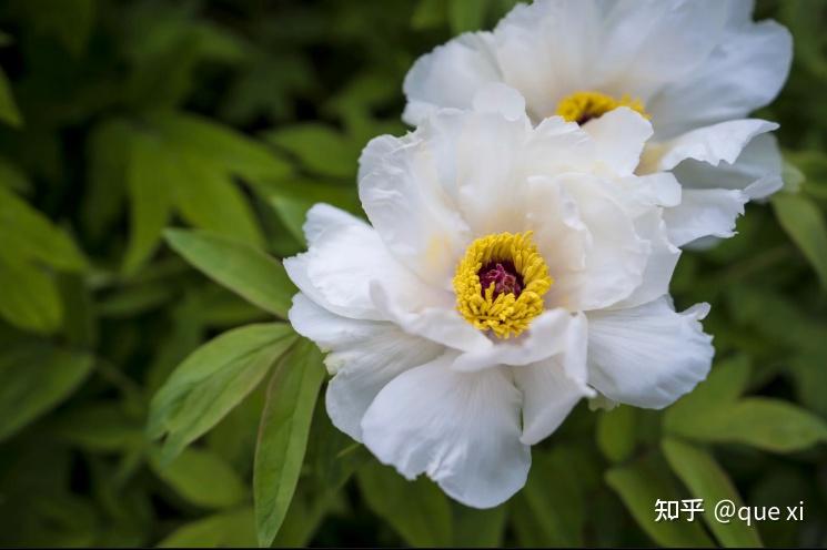 五一出行如何才能避开「人山人海」？