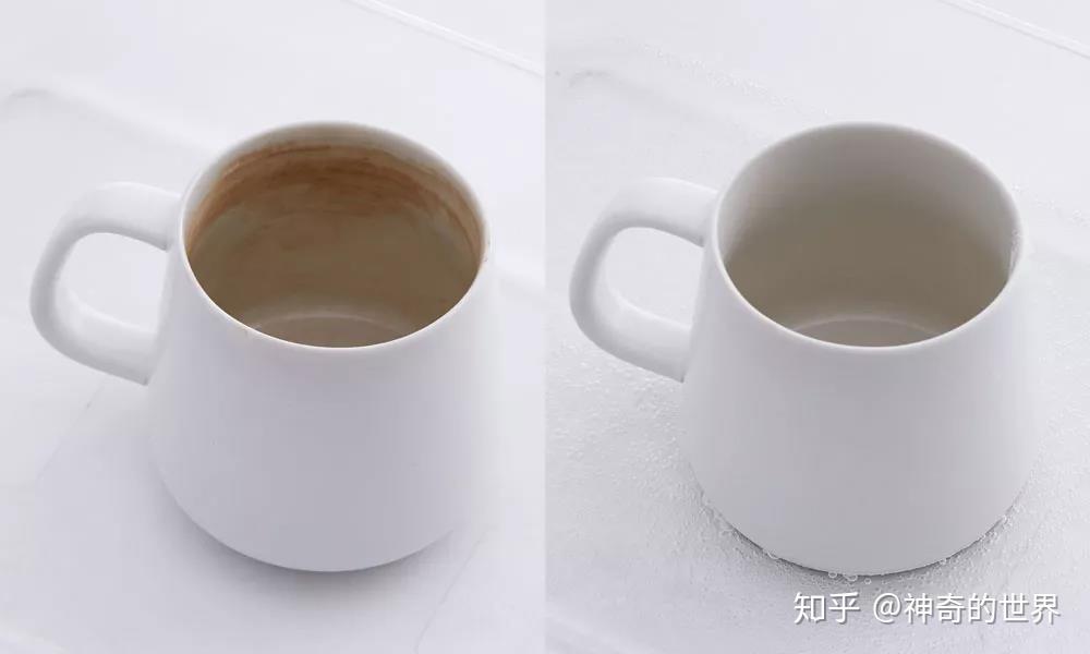 不鏽鋼杯如何去除茶垢