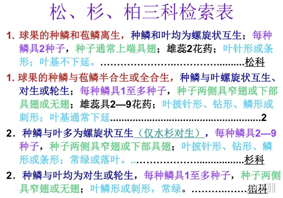 松科杉科柏科有哪些主要不同点