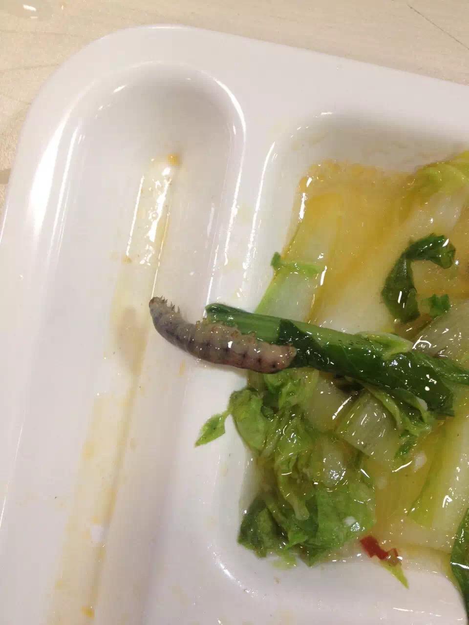 如何看待上海交通大学第二餐饮大楼接连吃出蛆和创可贴