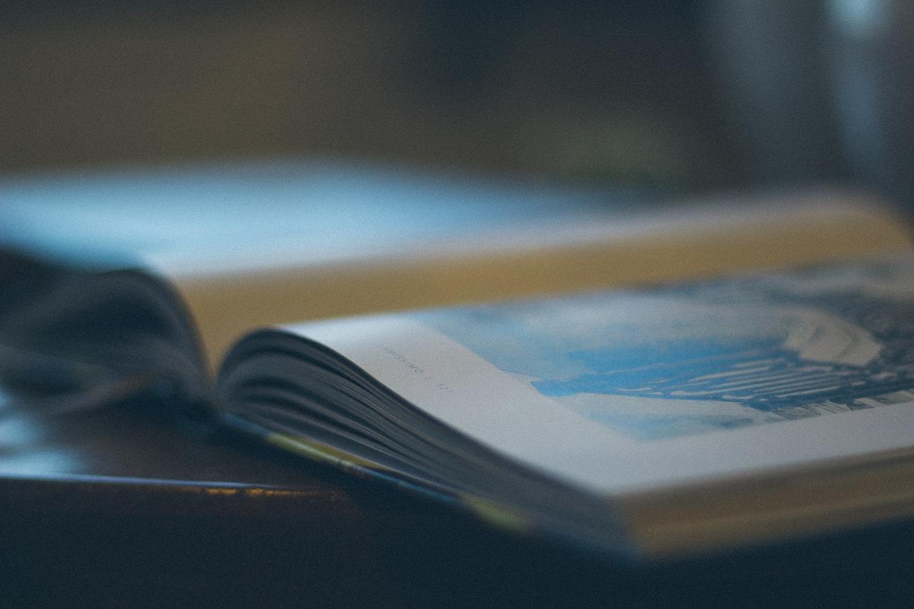 人文关怀之光：散文诗歌读后感