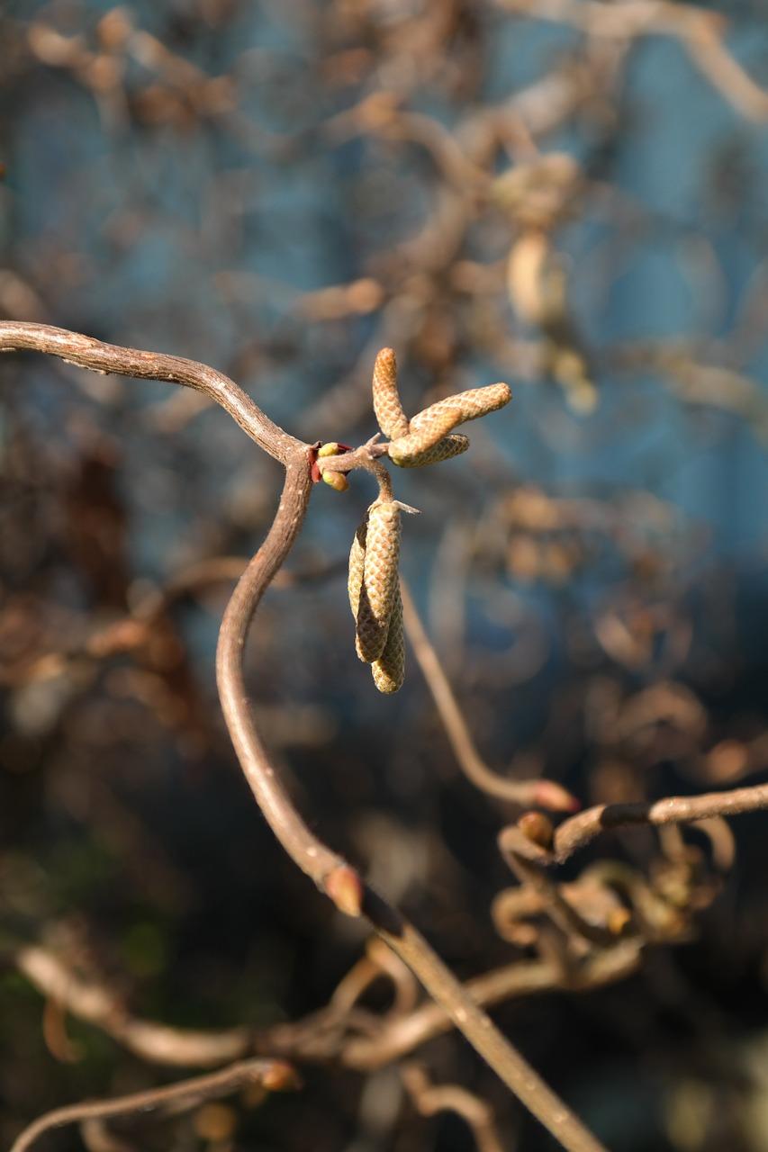 3. 龙骨插接方法