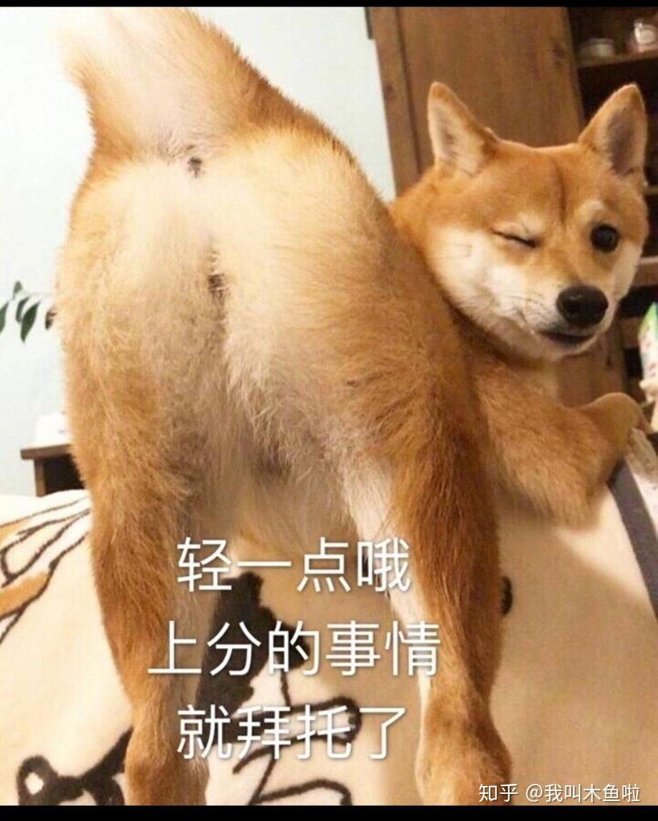 有没有又骚又贱诱惑型的表情包? - 知乎