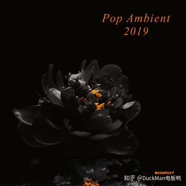 为什么popambient系列没有2019