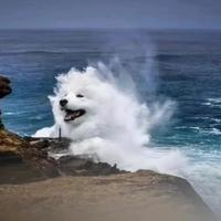 Zhihu profile picture for @fishery