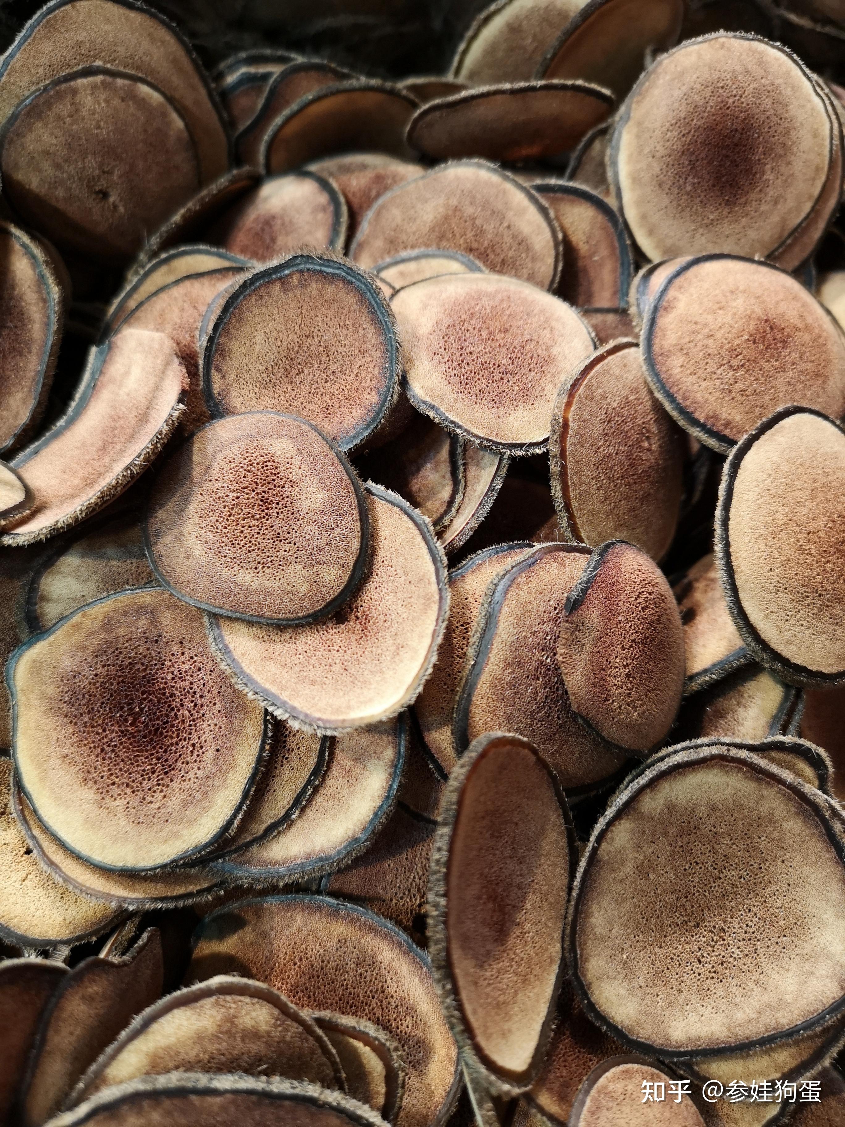 这是真鹿茸吗? - 知乎