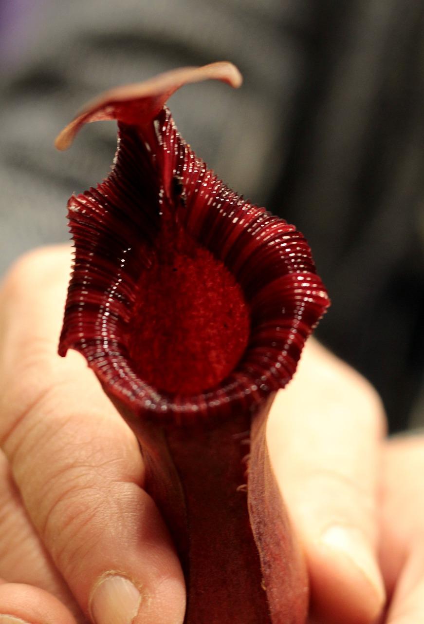 新房装修风格趋势