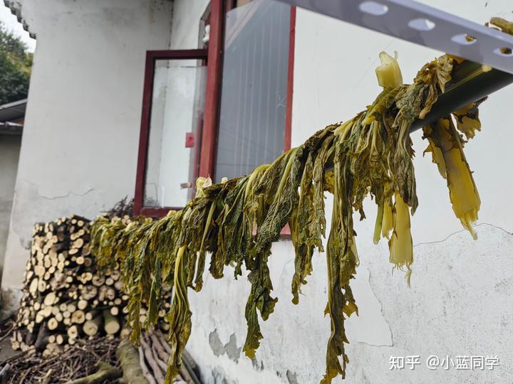 人，可以废物到什么程度？