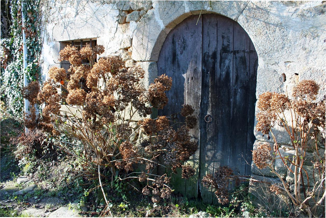 入门处装饰建议