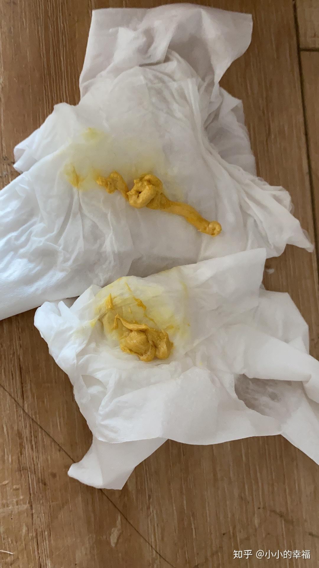 小奶猫拉黄色稀便