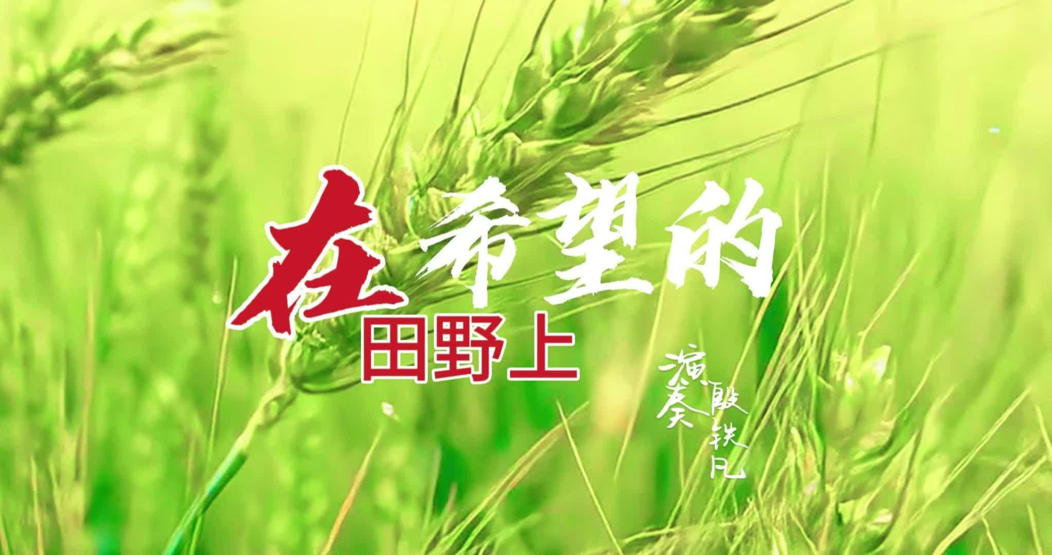 《在希望的田野上》殷铁凡演奏