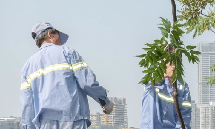 摄影师刘琨琨专访:旧时光永不灭,只是渐凋零 - 知乎