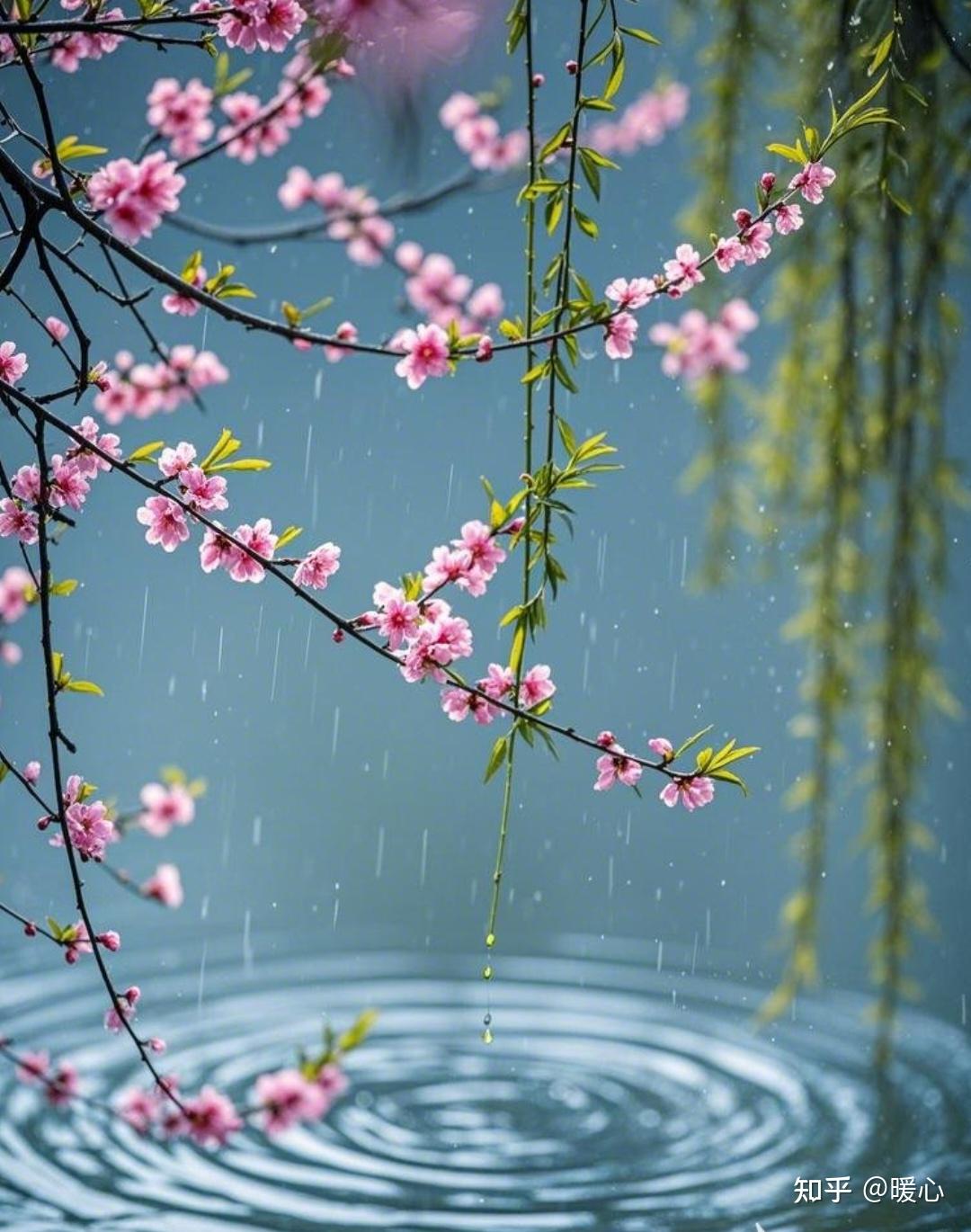 文笔挑战:春雨优美的句子有哪些?