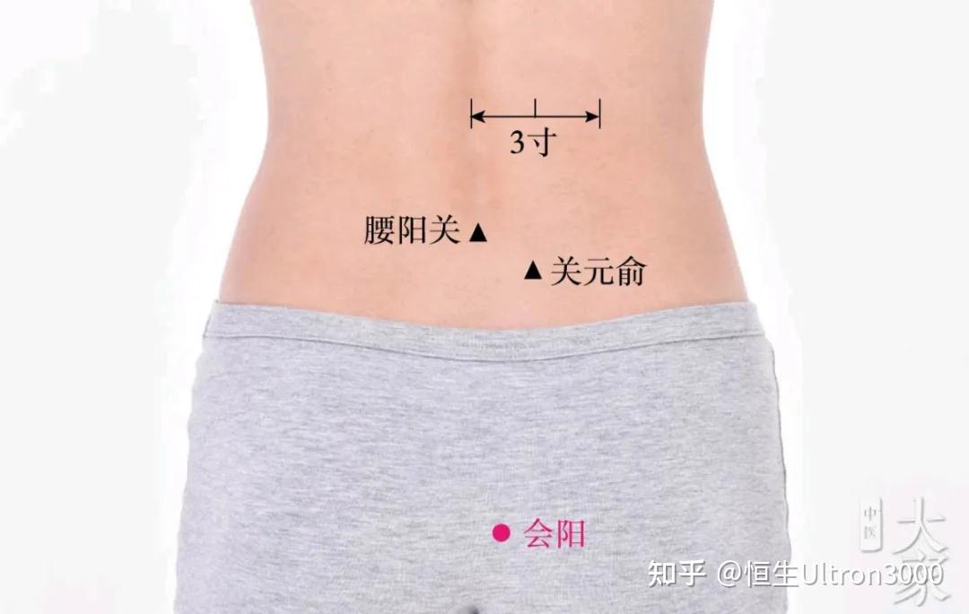 【针灸】治疗常见病针方要穴 - 知乎