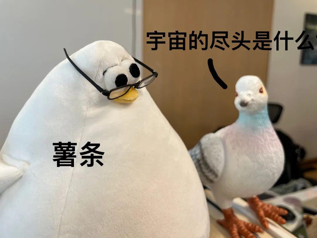 饱和式精神污染:马兆是怎么变成海鸥的? - 知乎