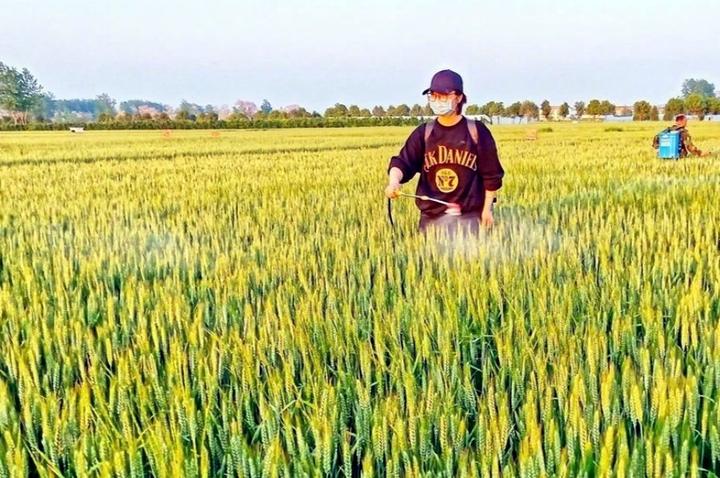 农民种地到底挣多少钱有人说的可支配收入在哪