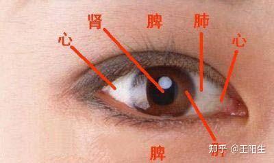 望穿秋水,眼睛是健康的一面镜子! - 知乎