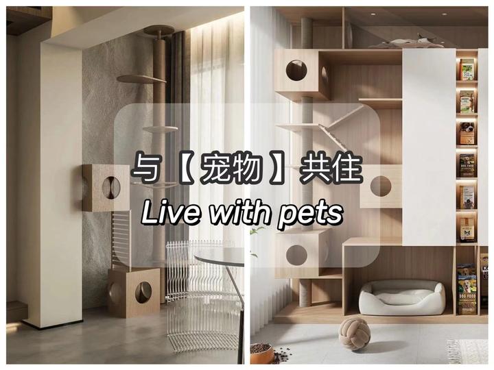 与宠物共住｜铲屎官必看 ️温馨的【人宠乐园】 - 知乎