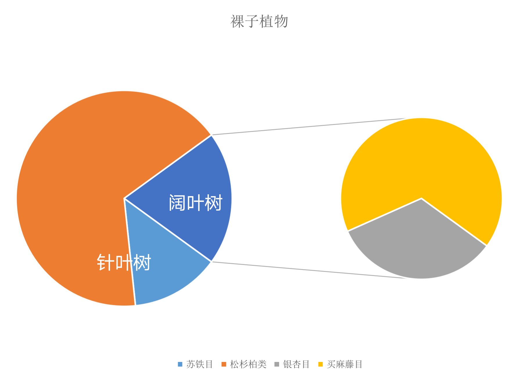 银杏是针叶树还是阔叶树