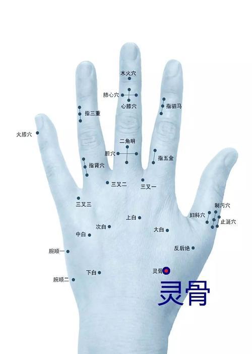 董氏奇穴治疗各类肿瘤的化瘤针法要穴- 知乎