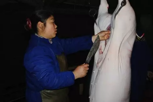 屠宰场用什么方式杀死牲畜