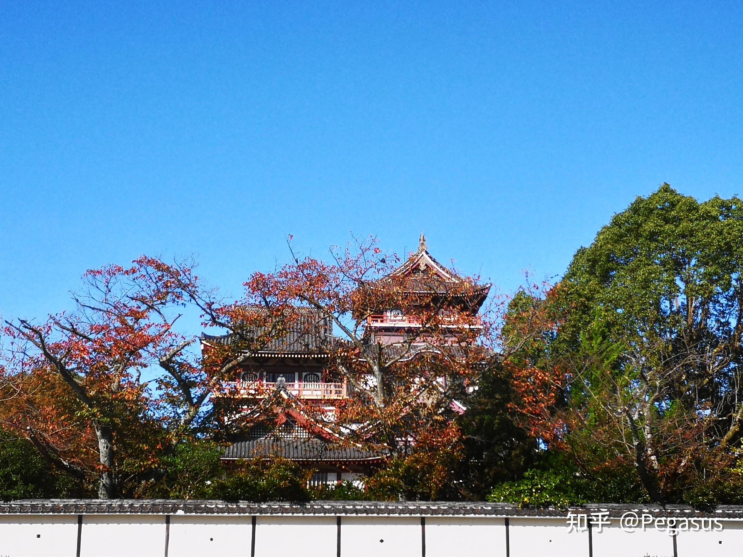 伏见桃山天皇陵墓图片