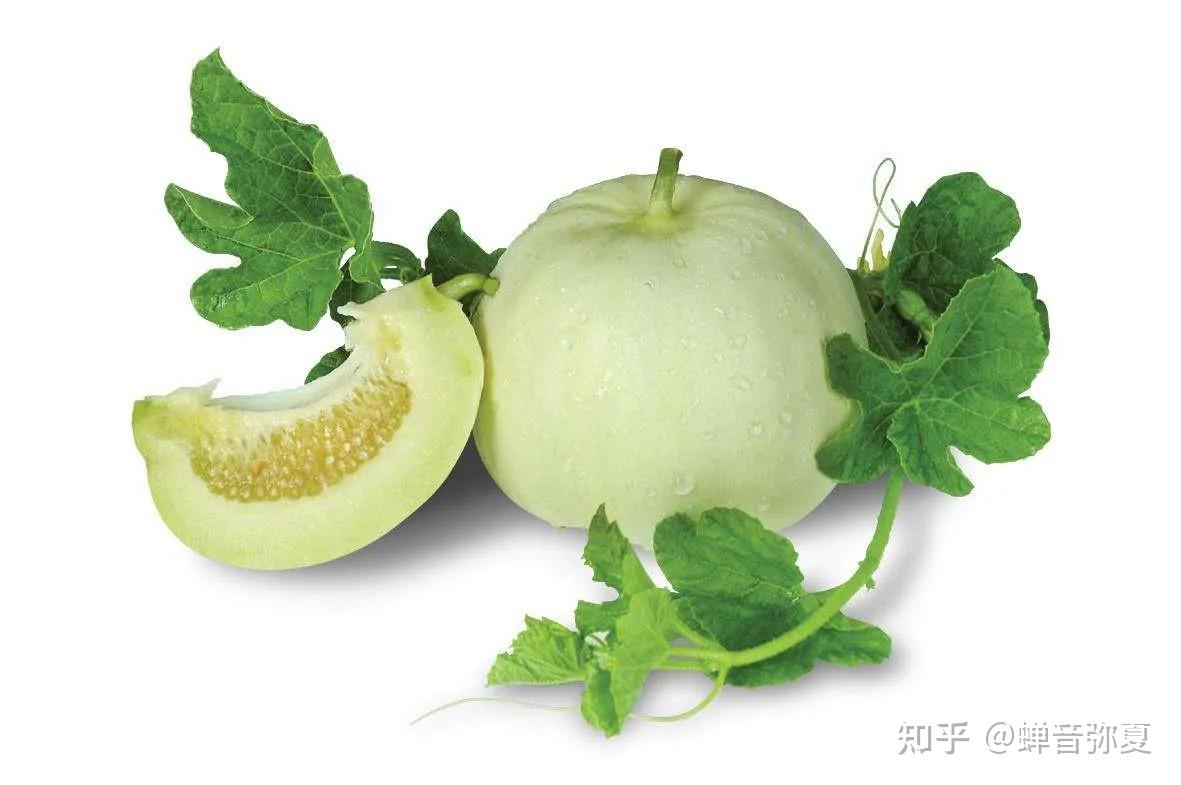 江西梨瓜的营养价值如何？ - 知乎
