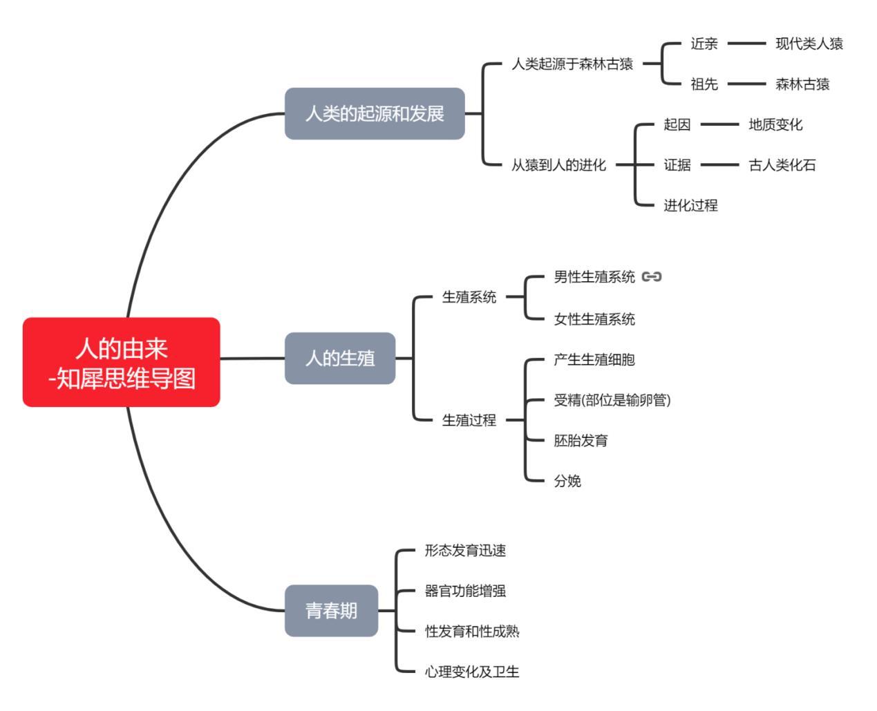 人类进化思维导图高清图片