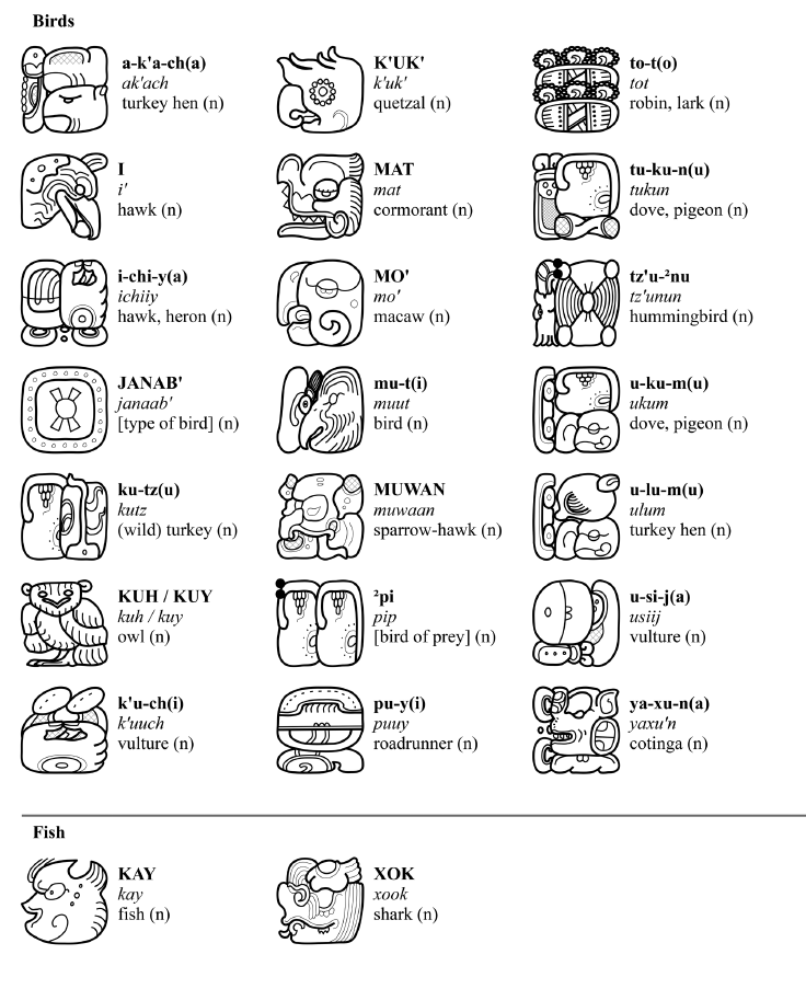 埃及圣书体和玛雅文字会不会令人感到神秘中带有着恐惧的感觉氛围为何