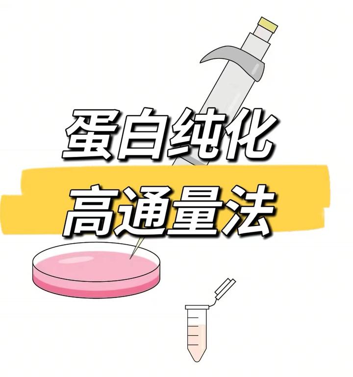 蛋白质纯化—高通量蛋白质纯化 - 知乎