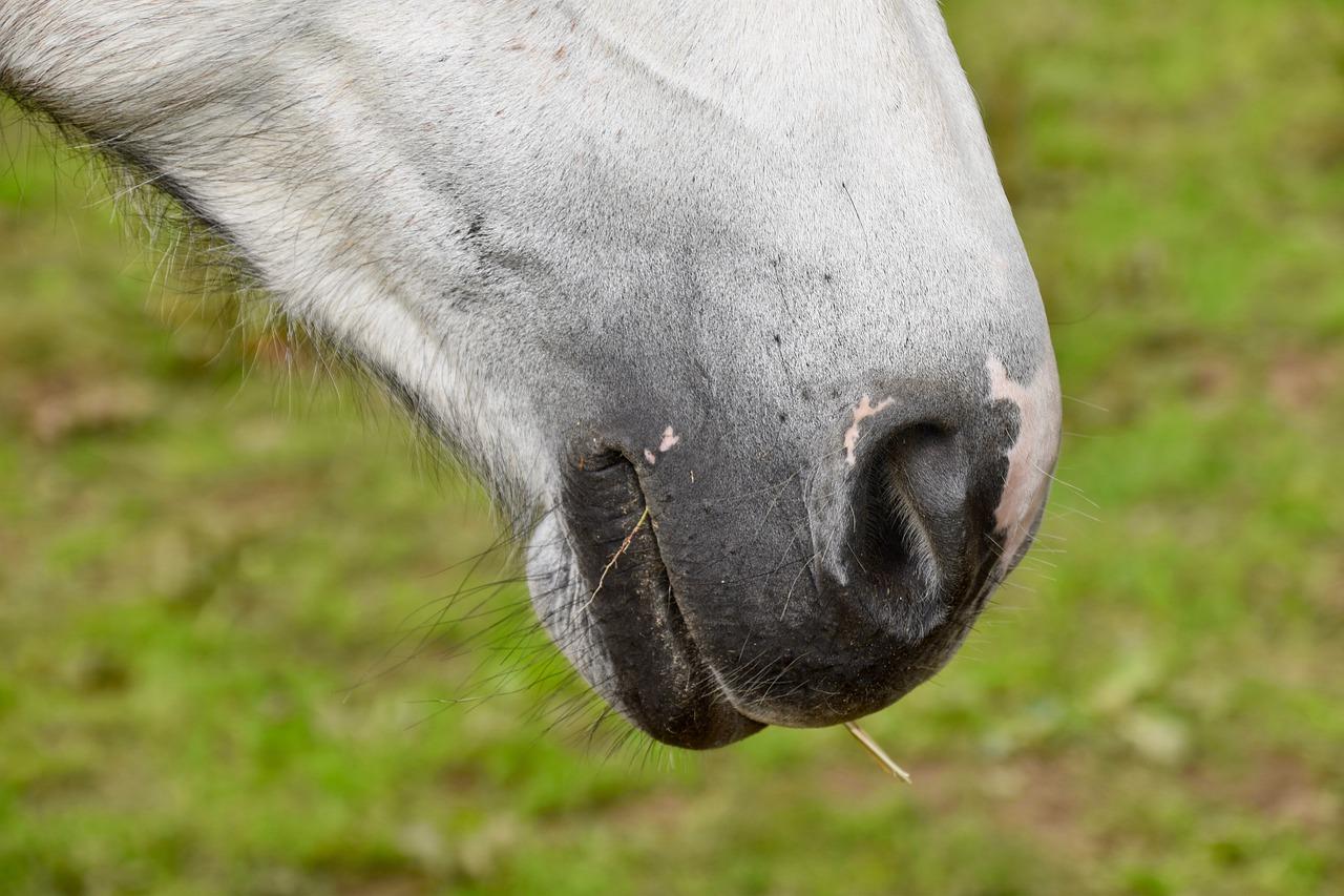 1. 军被裁剪技巧