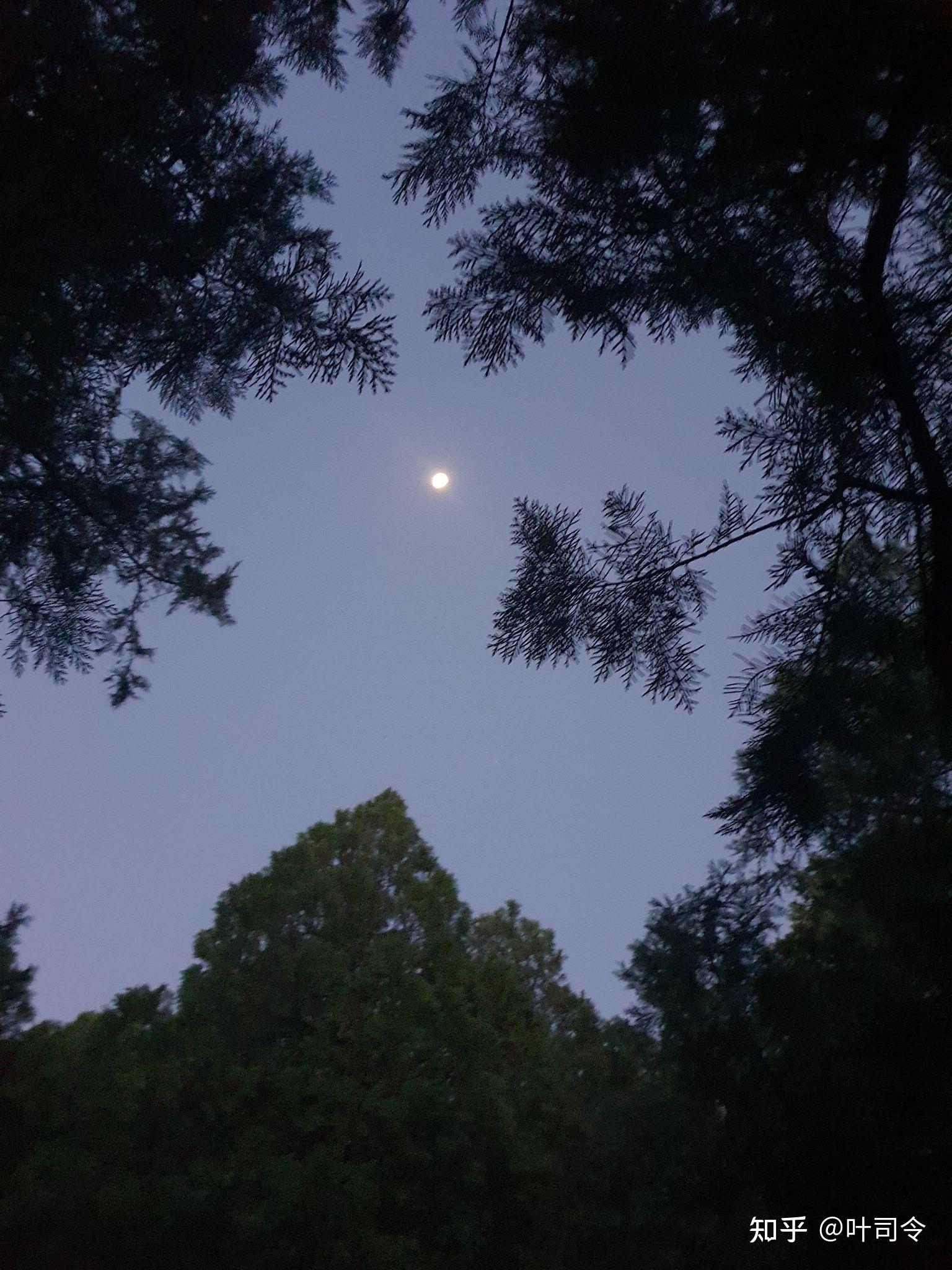 见过凌晨 4 点的天空吗?说说你凌晨 4 点还不睡觉的理由?