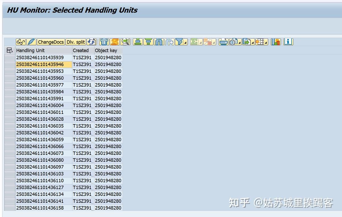 SAP HUM事务代码HUMO里显示内层和外层HU信息 - 知乎