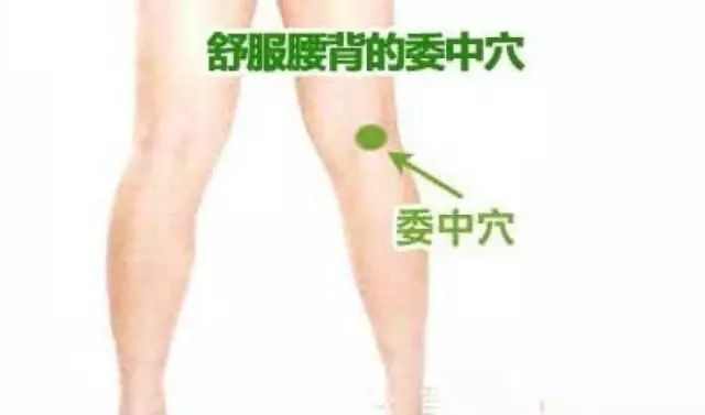 珍藏版！最 全中医中常用穴位和艾灸功能总结（建议收藏） - 知乎
