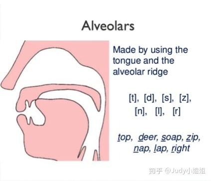 英語母語者在意the的發音嗎