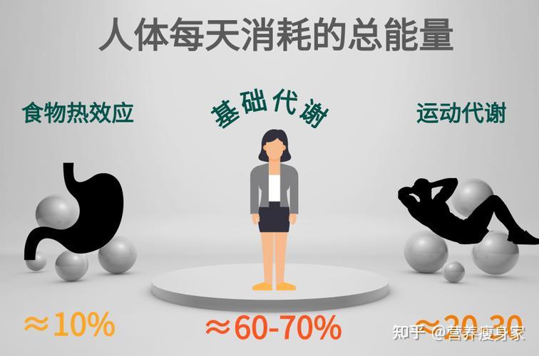 减肥期间忍不住可以吃欺骗餐吗？！ - 知乎
