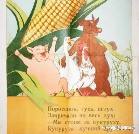 赫鲁晓夫为什么叫玉米晓夫? - 知乎