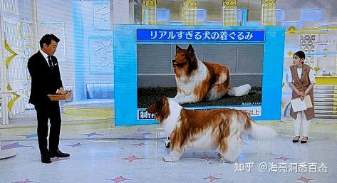 日本男子“TOCO桑”花两百万变成了一条狗,现在打算找母狗交友 - 知乎