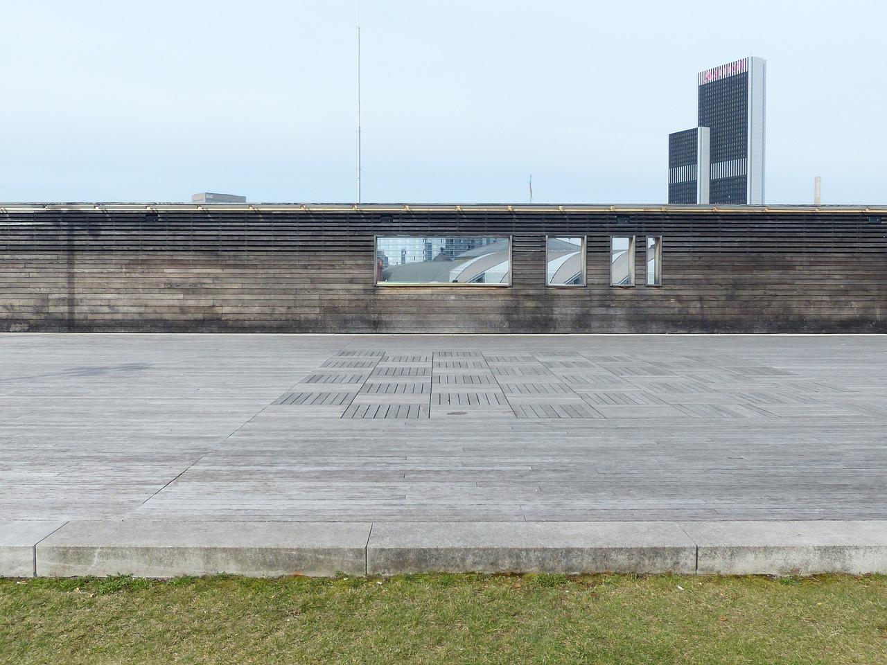 北向阳台植物搭配